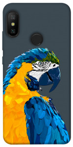 Чехол Попугай для Xiaomi Redmi 6 Pro