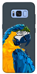Чехол Попугай для Galaxy S8 (G950)