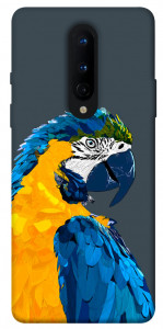 Чехол Попугай для OnePlus 8