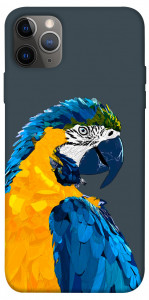 Чехол Попугай для iPhone 12 Pro