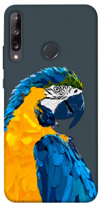 Чехол Попугай для Huawei Y7p