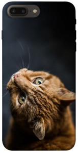 Чехол Рыжий кот для iPhone 8 plus (5.5")
