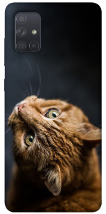 Чохол Рудий кіт для Galaxy A71 (2020)
