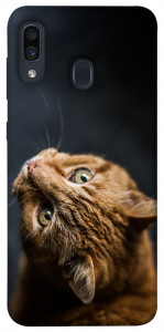 Чохол Рудий кіт для Samsung Galaxy A20 A205F