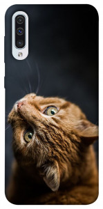 Чохол Рудий кіт для Samsung Galaxy A50s