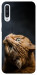 Чохол Рудий кіт для Galaxy A50 (2019)