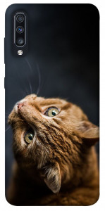 Чохол Рудий кіт для Galaxy A70 (2019)