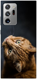 Чохол Рудий кіт для Galaxy Note 20 Ultra