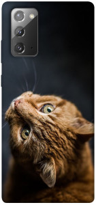 Чохол Рудий кіт для Galaxy Note 20