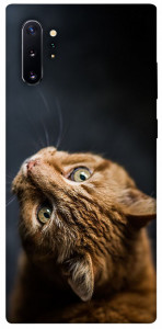 Чохол Рудий кіт для Galaxy Note 10+ (2019)