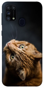 Чохол Рудий кіт для Galaxy M31 (2020)