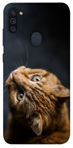Чехол Рыжий кот для Galaxy M11 (2020)