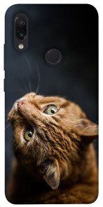 Чохол Рудий кіт для Xiaomi Redmi Note 7