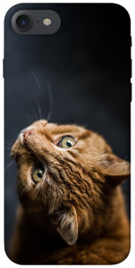 Чохол Рудий кіт для iPhone 7 (4.7'')