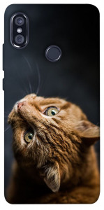 Чохол Рудий кіт для Xiaomi Redmi Note 5 Pro