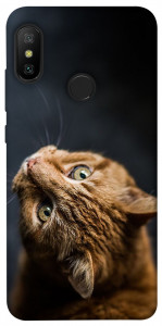 Чохол Рудий кіт для Xiaomi Mi A2 Lite