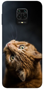 Чохол Рудий кіт для Xiaomi Redmi Note 9 Pro