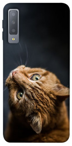 Чехол Рыжий кот для Galaxy A7 (2018)