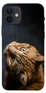 Чехол Рыжий кот для iPhone 12