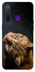 Чохол Рудий кіт для Realme 5 Pro