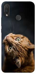 Чохол Рудий кіт для Huawei P Smart+