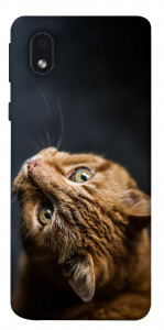 Чехол Рыжий кот для Samsung Galaxy M01 Core