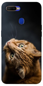 Чехол Рыжий кот для Oppo A5s
