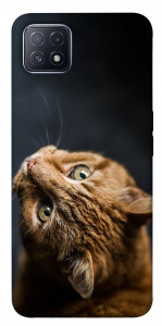 Чохол Рудий кіт для Oppo A73