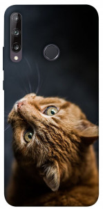 Чехол Рыжий кот для Huawei Y7p