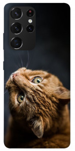 Чехол Рыжий кот для Galaxy S21 Ultra