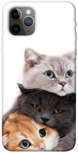 Чехол Три кота для iPhone 11 Pro