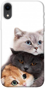 Чехол Три кота для iPhone XR