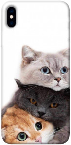 Чехол Три кота для iPhone XS Max