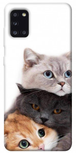 Чехол Три кота для Galaxy A31 (2020)