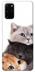 Чехол Три кота для Galaxy S20 Plus (2020)