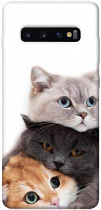 Чехол Три кота для Galaxy S10 Plus (2019)