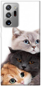 Чехол Три кота для Galaxy Note 20 Ultra