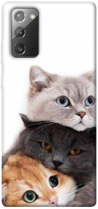 Чохол Три коти для Galaxy Note 20
