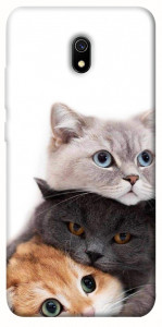 Чохол Три коти для Xiaomi Redmi 8a