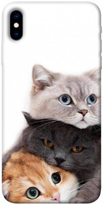 Чехол Три кота для iPhone XS (5.8")