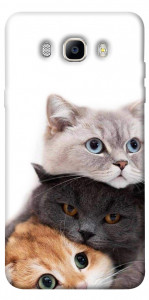 Чехол Три кота для Galaxy J5 (2016)