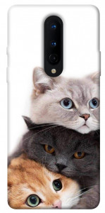 Чохол Три коти для OnePlus 8