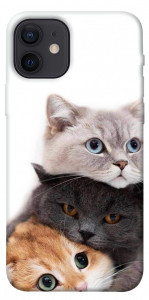 Чохол Три коти для iPhone 12