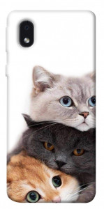 Чехол Три кота для Samsung Galaxy M01 Core