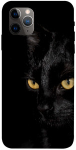 Чехол Черный кот для iPhone 11 Pro