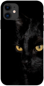 Чехол Черный кот для iPhone 11