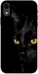Чехол Черный кот для iPhone XR
