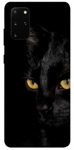 Чехол Черный кот для Galaxy S20 Plus (2020)