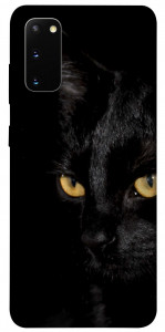 Чехол Черный кот для Galaxy S20 (2020)