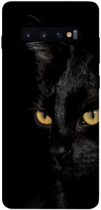 Чехол Черный кот для Galaxy S10 Plus (2019)